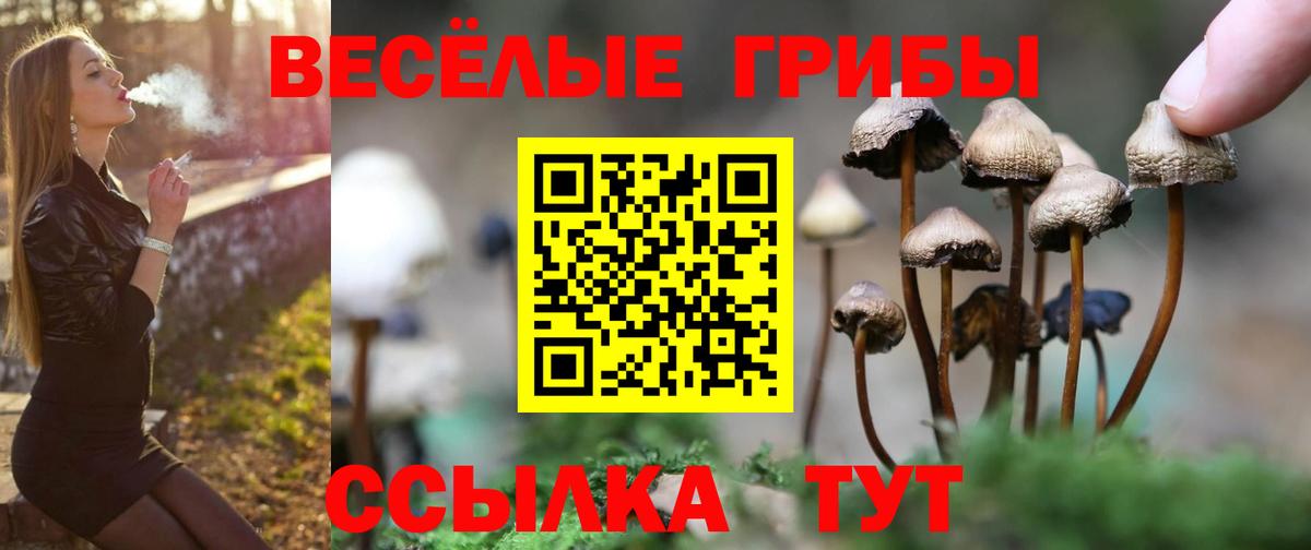 Галлюциногенные грибы MAGIC MUSHROOMS Котлас